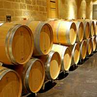 Wineology Offers International Wine Breakdown