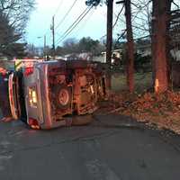 <p>A local man lost control of his SUV on Crystal Street and slammed into a tree.</p>