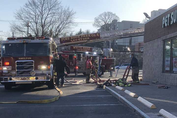 Blaze Breaks Out At Building With Bank, Pet Supply Store In CT