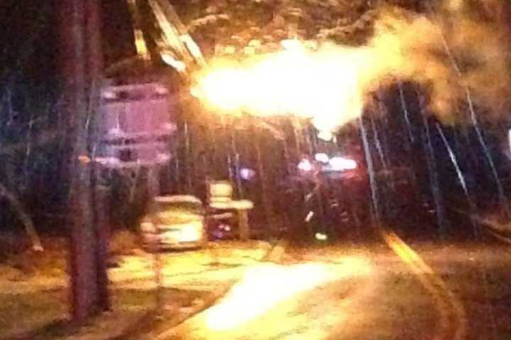 Power Back After Downed Tree Causes Wesley Hills Outage