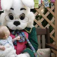 <p>A friend of the Easter bunny who appeared to be sleeping at the Willowbrook Mall said she was dehydrated, while a mall spokeswoman said she was playing a game.</p>