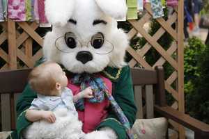 Spokeswoman: 'Sleeping' Willowbrook Mall Easter Bunny Was Playing Game