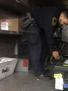 Norwalk Police K9 Sniffs Out Packages After Reports of 'Dead Dropping'