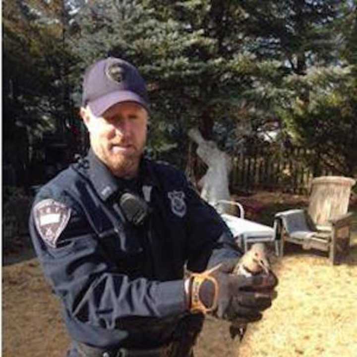 Stamford Officer Chris Brown finds the source of the noise — a woodpecker in a house.