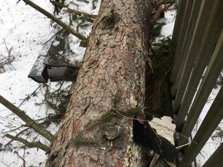 A tree fell on the main building of the Weis Center.