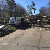 <p>A tree fell on a vehicle on the Wilbur Cross Parkway southbound near the Derby/Orange Exit 58. Injuries were reported, and extrication was needed.</p>