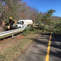 <p>A tree fell on a vehicle on the Wilbur Cross Parkway southbound near the Derby/Orange Exit 58. Injuries were reported, and extrication was needed.</p>