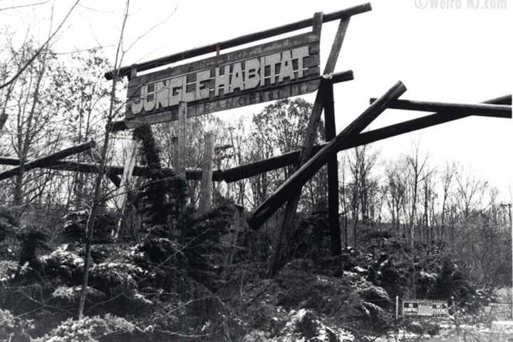 NJ Scraps Plan For Mountain Bike Park In West Milford