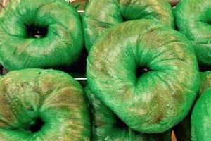 Grab 'Em While They're Green At Clifton Bagel Shop