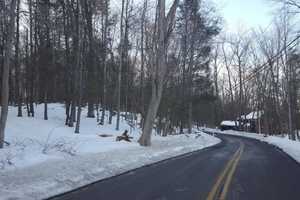 Weston Planning Commission Votes Down Proposed Dog Park