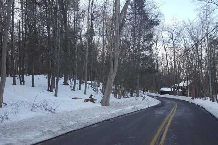 Weston Planning Commission Votes Down Proposed Dog Park