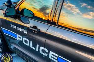 Passenger Of Stolen Car Killed After Driver Crashes Into Tree In Chester County