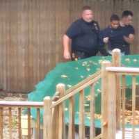 <p>Russell bolted the stop at Prospect and Poplar, Hackensack police said.</p>