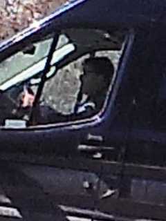 Alleged Vandal At Westchester's Donald J. Trump Park Caught On Camera