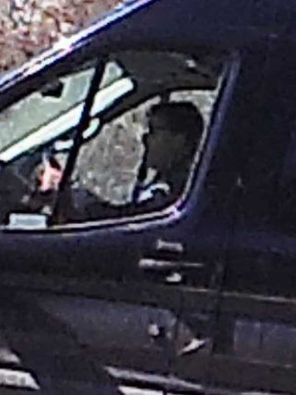 Alleged Vandal At Westchester's Donald J. Trump Park Caught On Camera