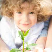 <p>The Mount Kisco Conservation Advisory Council has scheduled a hike and celebration to mark Earth Day on April 22.</p>