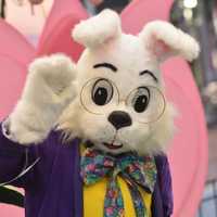 <p>The Easter bunny appeared to have fallen asleep at the Willowbrook Mall Wednesday, causing panic amongst moms in line for photos.</p>