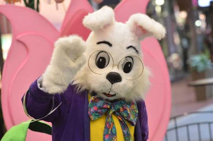 The Easter bunny appeared to have fallen asleep at the Willowbrook Mall Wednesday, causing panic amongst moms in line for photos.