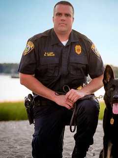 Fairfield K-9 Jagger Tracks Down Bridgeport Suspect