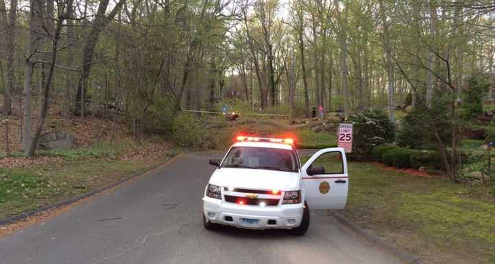 Nichols firefighters respond to a downed tree blocking Old Dike Road in Trumbull and knocking out power on Saturday.