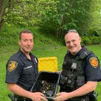 <p>The officers who saved the ducks.</p>