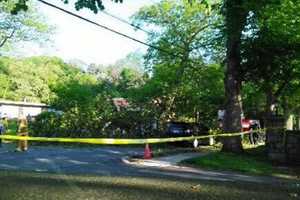 ID Released For Man Killed When Tree Falls On Car In Upper Nyack