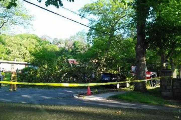 ID Released For Man Killed When Tree Falls On Car In Upper Nyack