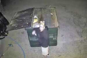 Know Him? State Police Attempting To Identify Theft Suspect From Area Business