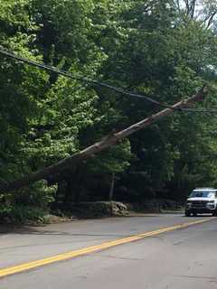Downed Tree Causes Road Closure In Ramapo