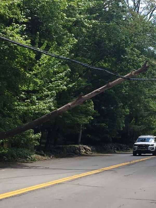 Downed Tree Causes Road Closure In Ramapo
