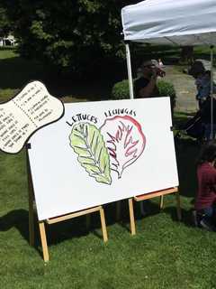 See, Taste, Discover: Tarrytown, Sleepy Hollow Farmers Market Wins Award