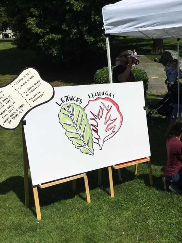 See, Taste, Discover: Tarrytown, Sleepy Hollow Farmers Market Wins Award