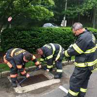 <p>Greenwich Professional Firefighters remove the grate to get to the ducklings caught in the storm drain at the Perrot Library in Greenwich.</p>