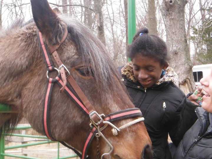 A student meets one of the horses at Starlight Farm in Ringwood.