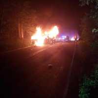 <p>A vehicle burst into flames after the driver lost control and hit a tree.</p>