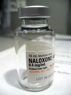 Wappingers Falls Police Save Life Of Drug Overdose Victim