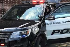 Mom Struck Pushing 2 Young Kids Out Of SUV's Path Crossing Park Ridge Street