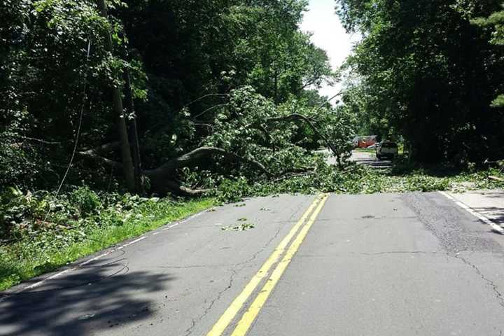Downed Tree, Wires Close Road In Orangetown