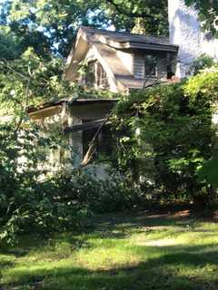 Tree Splits, Falls On Croton Home