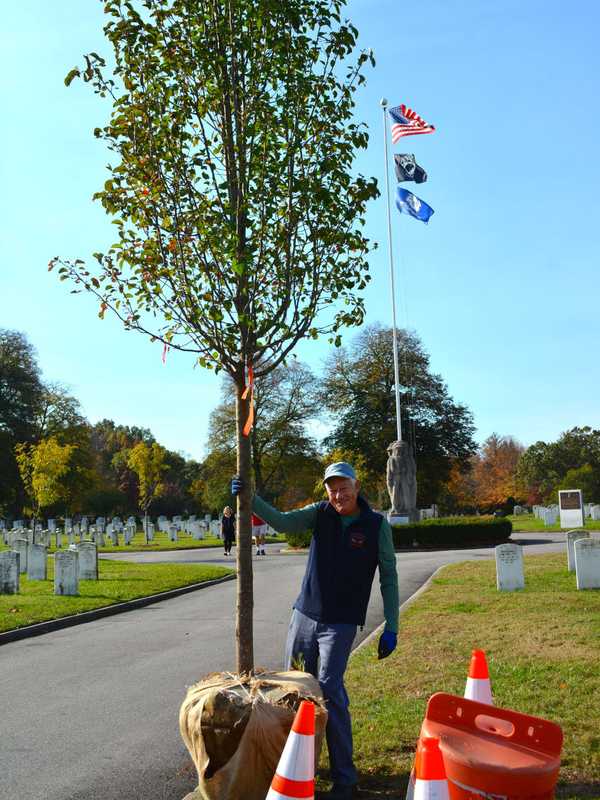 Going Green: Tree Conservancy Leaves Its Mark Around Darien