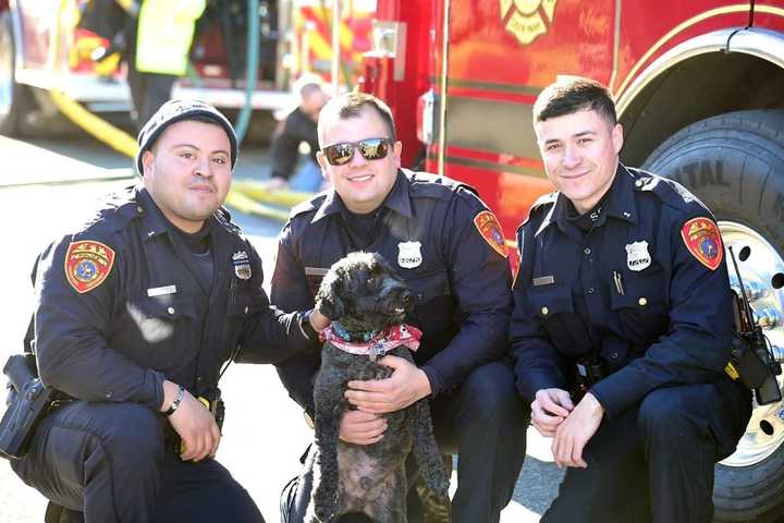 Three Officers Hospitalized After Rescuing Dog From Suffolk House Fire