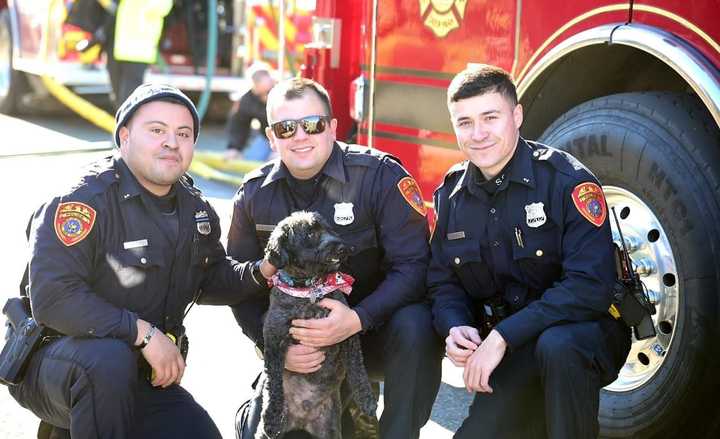 Three Suffolk County Police officers rescued a dog that was trapped in a house fire in Deer Park this morning.