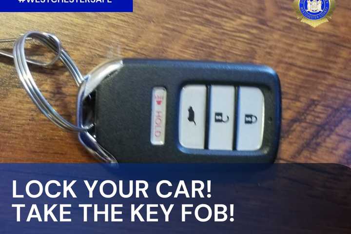 Westchester Sees 60-Percent Spike In Auto Thefts, DA Says
