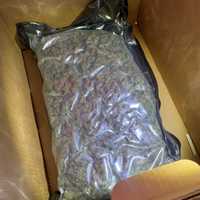 <p>The seized pot.&nbsp;</p>