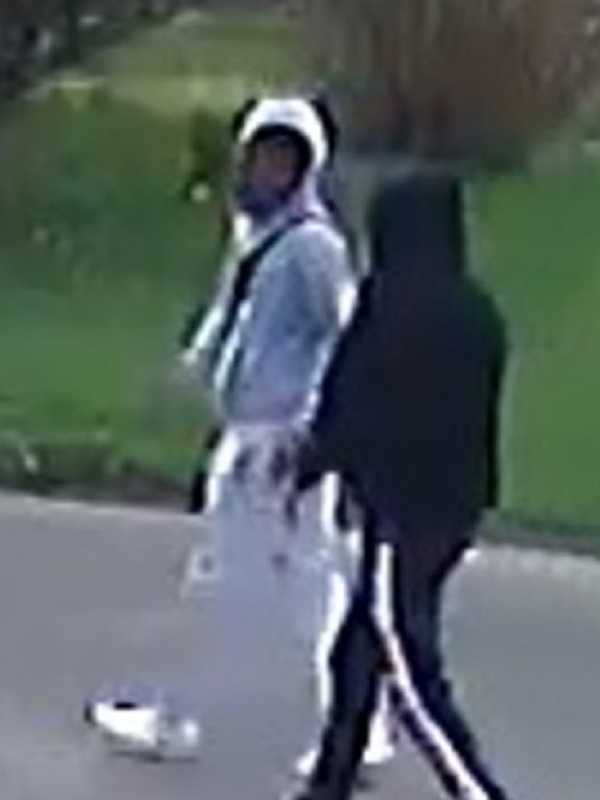 17-Year-Old Charged In Connection To Burglary, Sexual Assault On Long Island
