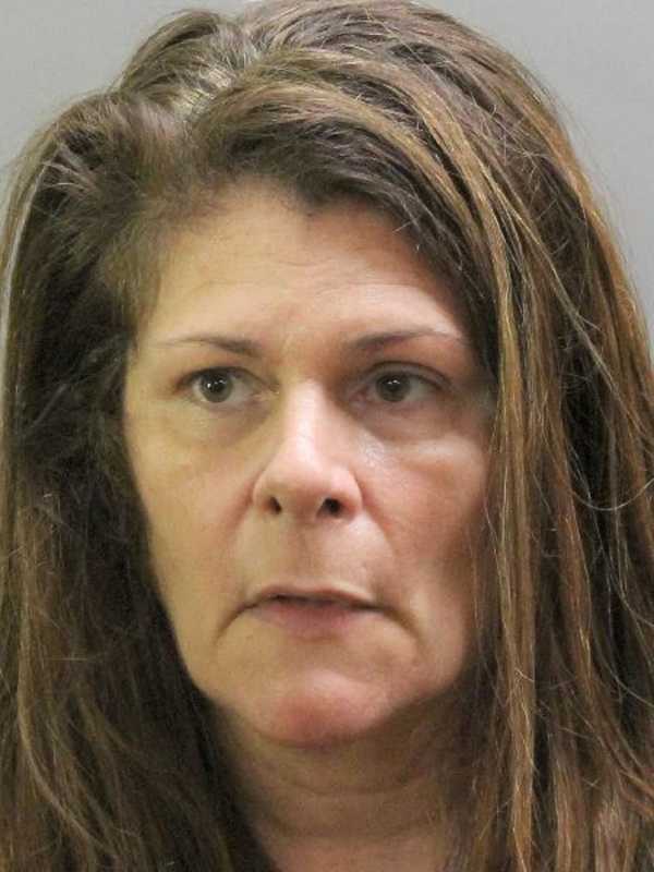 Long Island Woman Drove Drunk With Six Kids In Minivan, Police Say