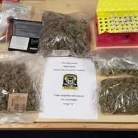 <p>The drugs seized.</p>