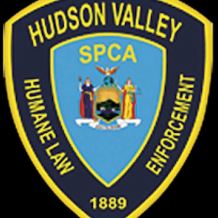 A Wallkill man was charged with beating a dog by the Hudson VAlley Humane Law Enforcement.