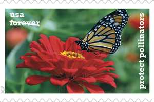 Hudson Valley Photographer Gets Stamp Of Approval From US Postal Service