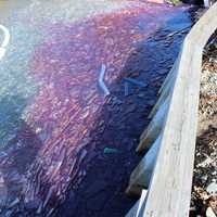Photos: Oil Spill Reaches Lake Mahopac